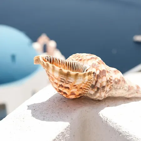 게스트하우스 Ostria Caldera 3*